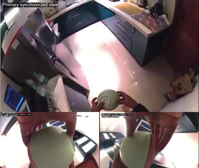 Ego + Exo Multi-View sample video thumbnail