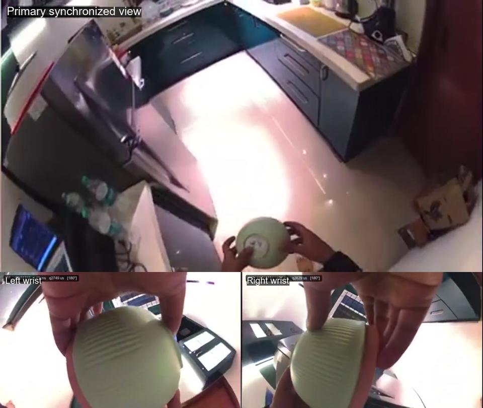 Ego + Exo Multi-View sample video thumbnail