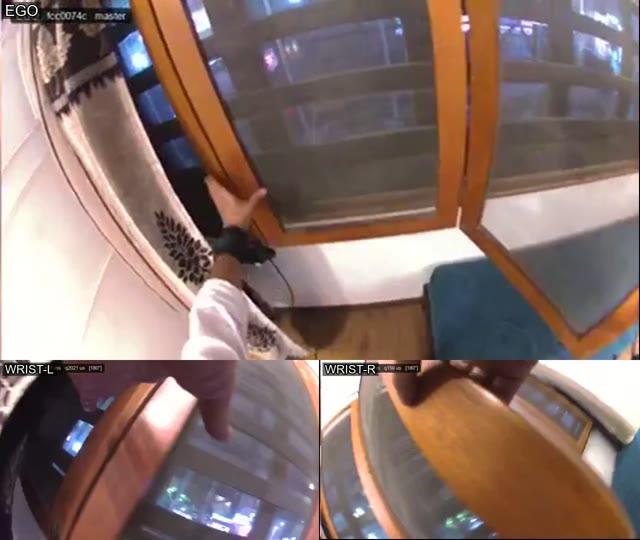 Monocular Ego + Monocular Wrist Cameras sample video thumbnail