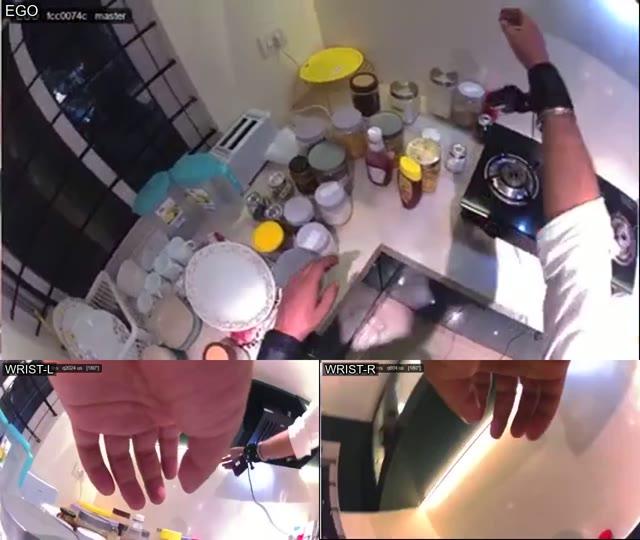 Monocular Ego + Monocular Wrist Cameras sample video thumbnail