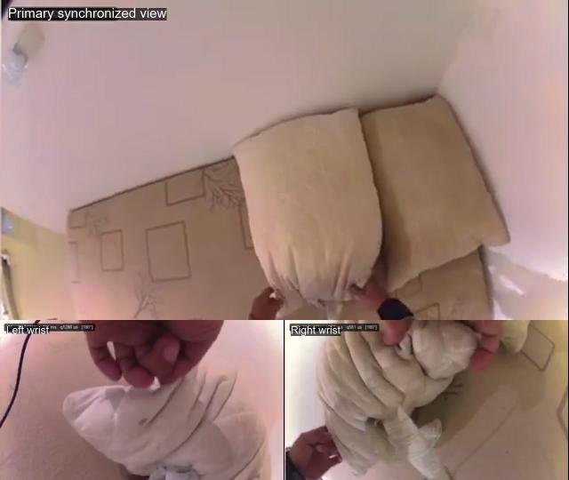 Ego + Exo Multi-View sample video thumbnail
