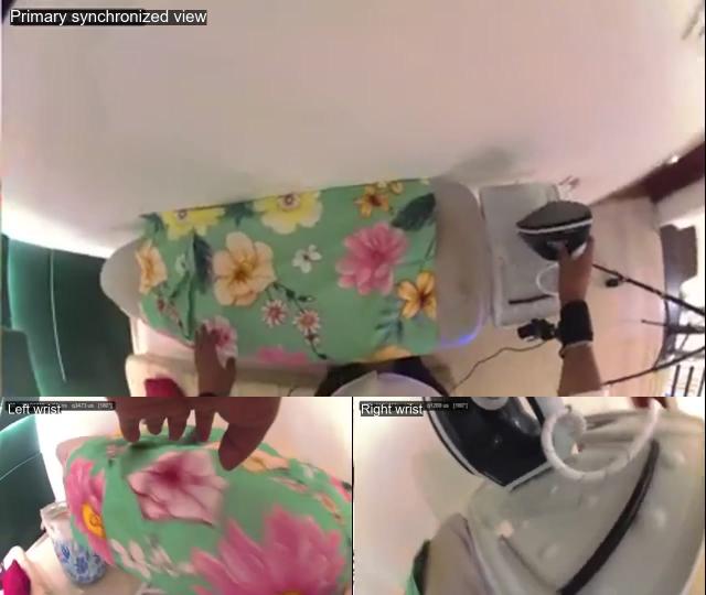 Ego + Exo Multi-View sample video thumbnail