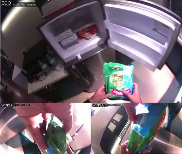 Monocular Ego + Monocular Wrist Cameras sample video thumbnail