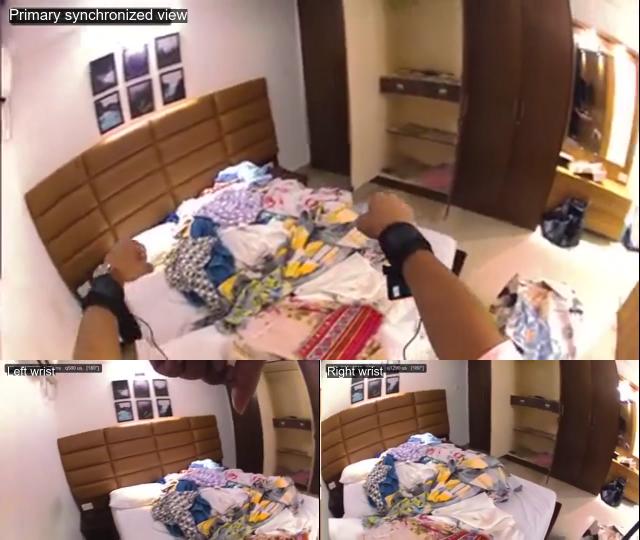 Ego + Exo Multi-View sample video thumbnail