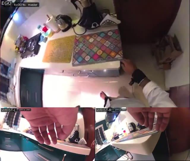 Monocular Ego + Monocular Wrist Cameras sample video thumbnail