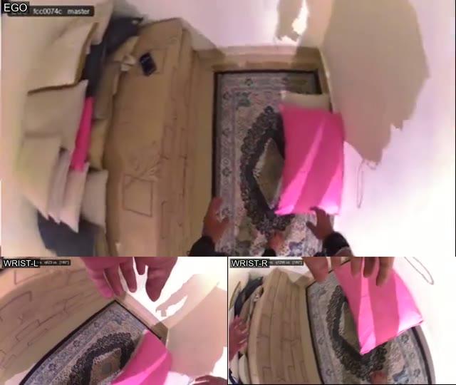Monocular Ego + Monocular Wrist Cameras sample video thumbnail