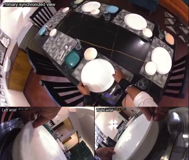 Ego + Exo Multi-View sample video thumbnail